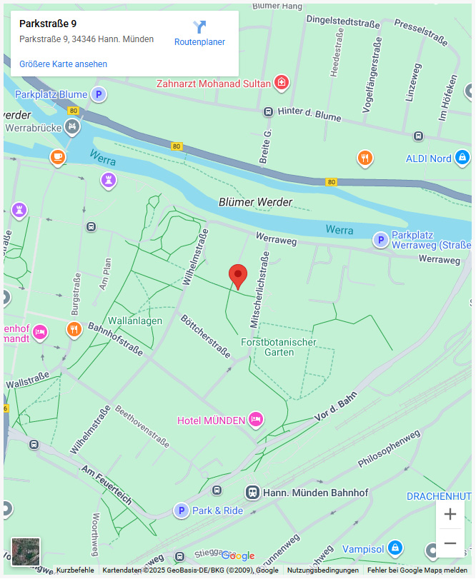 Google Maps